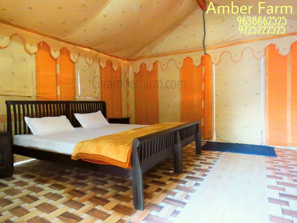 Amber Farm Sasan Gir Exterior photo