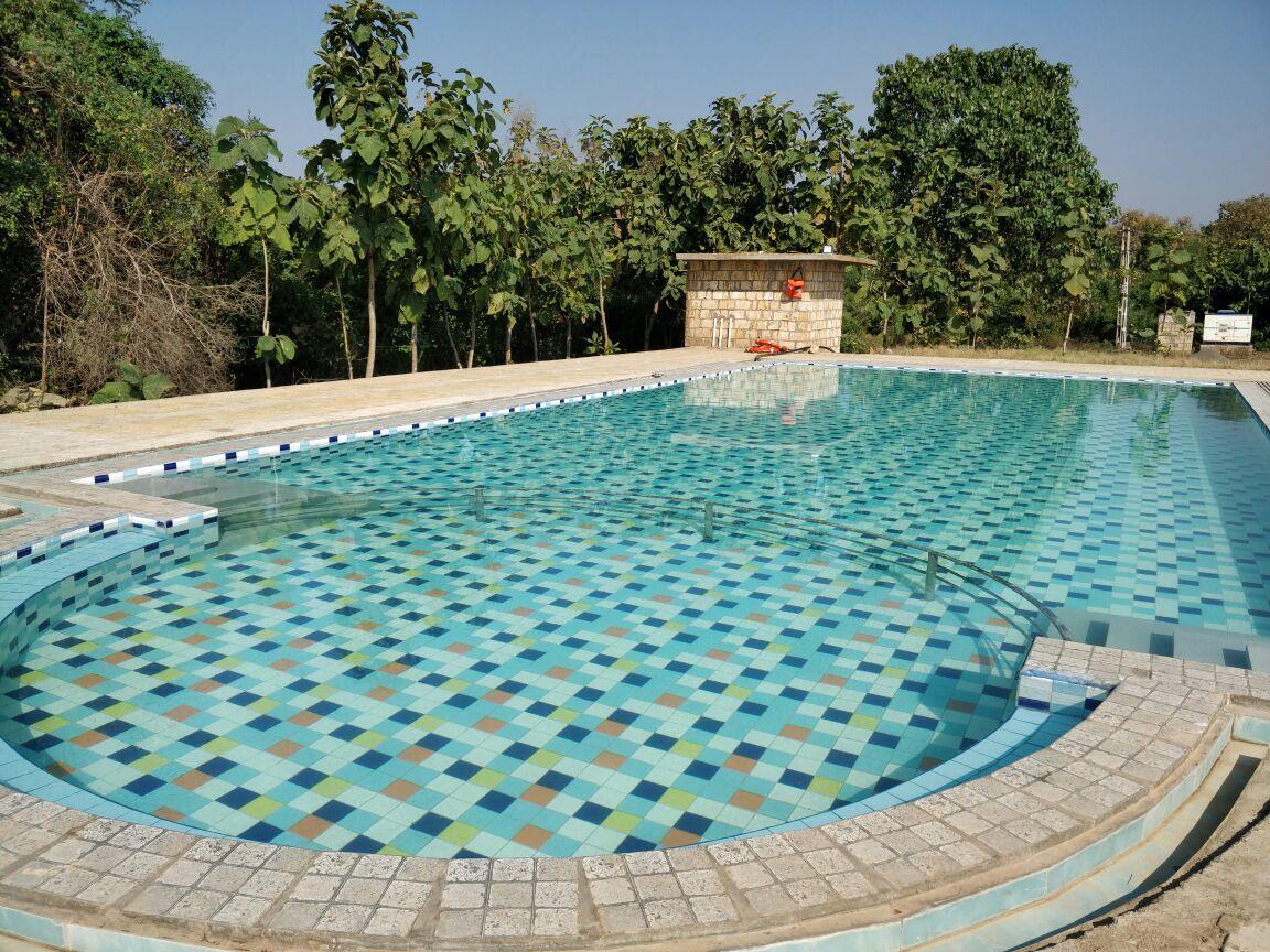 Amber Farm Sasan Gir Exterior photo